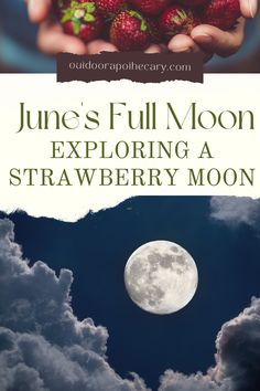 Discover the enchanting folklore and spiritual significance of June’s full moon, the Strawberry Moon, in our latest blog article. Learn about the ancient traditions and beliefs associated with this celestial event, and explore various ways to honor its significance in your own life. From rituals and ceremonies to connecting with nature, dive into the mystical world of the Strawberry Moon. Moon Magic, Lunar Phase, Full Moon In Cancer, Moon Meaning, Full Moon Meaning, Full Moon, Harvest Moon