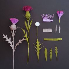 Paper Flowers, Quilling, Paper Plants, Flower Crafts, Flowers Diy, Handmade Flowers Paper, Paper Roses