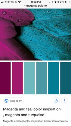 the color scheme for magenta and teal is shown in this screenshote