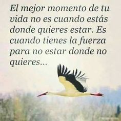 a stork flying in the sky with a quote written below that reads, el mejor momento de tu ud