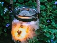 a glass jar filled with water sitting on top of a lush green plant covered ground