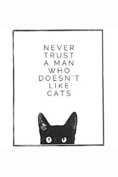a black cat with the words never trust a man who doesn't like cats