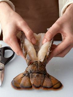 a person cutting up some kind of crab on a white table with scissors and other items