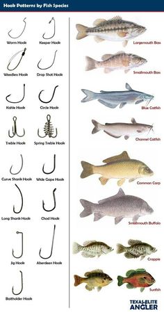 different types of fishing hooks and lures on a white background with the words, hook patterns by fish species