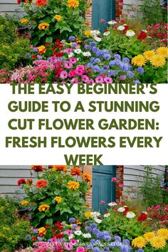 the easy beginner's guide to a stunning cut flower garden fresh flowers every week