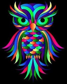 Animals, Bird, Owl Art, Birds, Owl, Colorful Owl Drawing, Animal Paintings, Bird Art