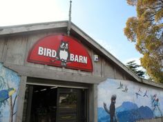 Bird Barn, pet shop on the corner of Pomaria Rd and Lincoln Rd, Henderson. The historic site of a winery cellar. Photo April 2014. Bird Barn, Barn, Winery Cellar, Pet Shop, Road, Pet