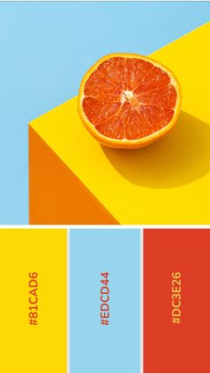 an orange sitting on top of a yellow and blue block with the words blood orange written below it