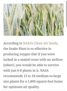 an article about nasa's clean air study, with the caption above it