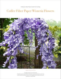 the front cover of coffee filter paper wateria flowers, with purple flowers hanging from it