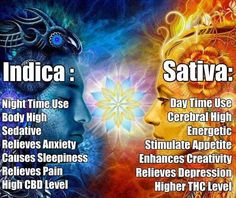 Indica vs sativa--for all you bitches that think weed is bad. Cannabis, Herbs, Herbalism, Medical Marijuana, Indica, Medical Cannabis, Chronic Fatigue, Sedation