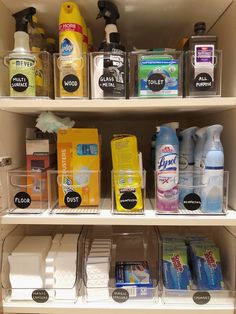 an organized pantry filled with cleaning products and other household care items, including toiletries