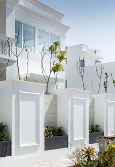 a row of white houses with plants in the front