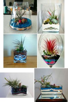 Image result for colored sand terrarium Diy Plants, Succulent Pots, Plant Decor