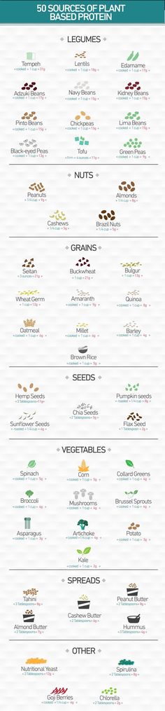 50 Sources of Plant Based Protein: You don't need to eat meat to get enough protein! :) Paleo, Foodies, Smoothies, Plant Based, Plant Based Diet, Plant Based Protein, Plant Based Eating