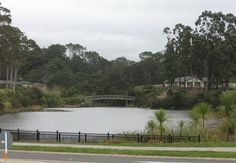Bridge at Lake Panorama Drive, Western Heights, Henderson, Auckland, NZ. 2010. The lake is man-made and features water-lilies. Water, Water Lilies, Drive