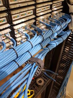 many blue wires are connected to each other