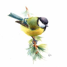 a watercolor painting of a bird on a branch
