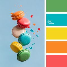 colorful macaroons flying in the air with color swatches on them and below it is a blue sky