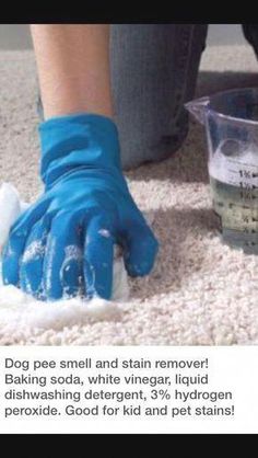 a person in blue gloves cleaning the carpet with a rag and water bottle next to it