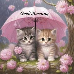 two kittens are sitting under an umbrella in the rain with pink flowers on it