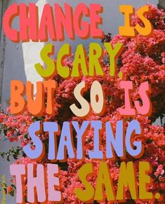 a poster with the words, change is scary but so is staying the same thing