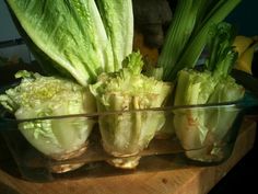 lettuce and other vegetables in a glass bowl on a wooden cutting board, ready to be cooked