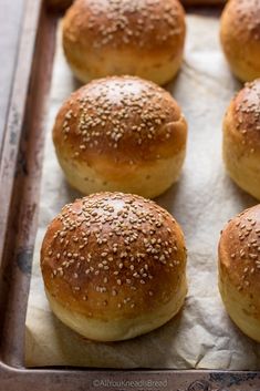 sesame seed rolls on a baking sheet ready to go into the oven
