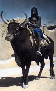 a woman and child are riding on the back of a bull in an arid area
