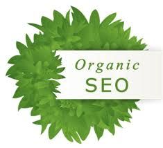 Professional SEO services Organic Search, Hosting Company, Organic Seo, Marketing Website, Web Development Design, Professional Web Design, Best Seo Services