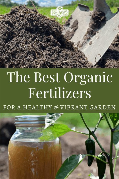 The Best Organic Fertilizers for Your Vegetable Garden • The Prairie Homestead Outdoor, Compost, Organic Gardening Tips, Layout, Organic Fertilizer For Vegetables, Vegetable Garden Fertilizer, Organic Vegetable Garden, Soil Health, Organic Fertilizer