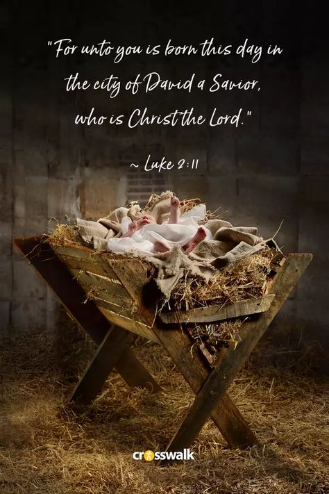 Top 15 Christmas Bible Verses to Share in 2021 - Christmas and Advent Bible Verses On Christmas, Bible Quotes For Christmas, Christmas Quotes Bible, Merry Christmas Bible Quotes, Christmas Verses Bible, Christmas Bible Quotes, Christmas Bible Verse Wallpaper, Christmas Bible Verse, Nativity Pictures