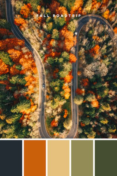 Art, Tulum, Fall Color Palette, Colour Palette Autumn, Green Colour Palette, Orange Color Palettes, Fall Colors, Color Schemes Colour Palettes, Green And Orange