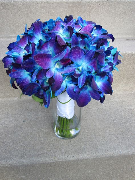 bouquet with blue orchids -  bridesmaids to have these bouquets Boho, Bouquets, Blue Wedding Flowers, Blue Orchid Wedding, Trendy Flowers, Pretty Flowers, Blue Wedding Bouquet, Blue Orchid Wedding Bouquet, Blue Orchid Bouquet