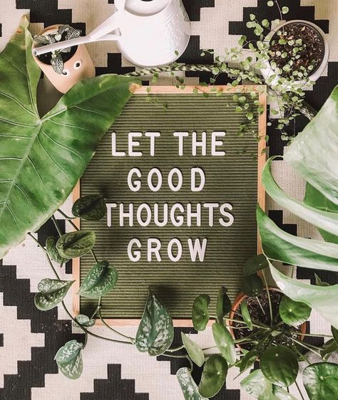 Inspirational Quotes, Design, Thoughts, Motivation, Growing Quotes, Plants Quotes, Good Thoughts, Quotes To Live By, Quote Aesthetic