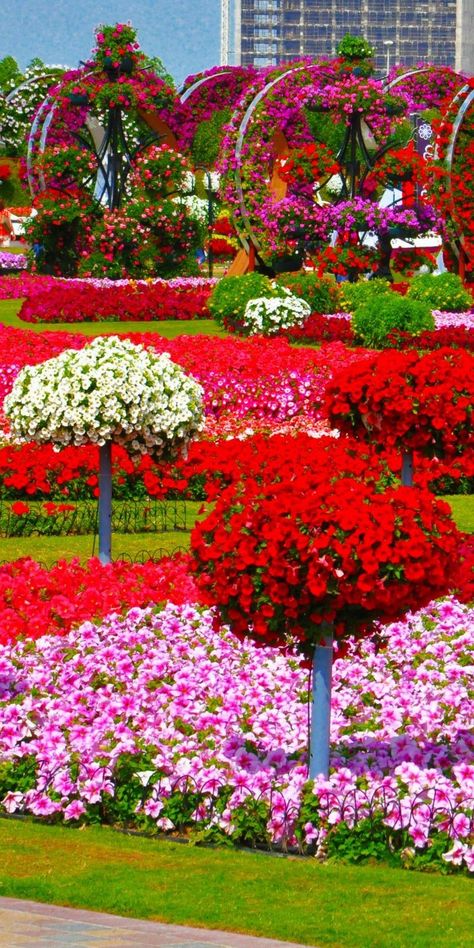Garden Design, Jardim, Most Beautiful Gardens, Beautiful Gardens, Beautiful Gardens Landscape, Amazing Gardens, Gorgeous Gardens, Beautiful Places, Beautiful Flowers Garden