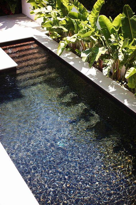 28 Refreshing plunge pools that are downright dreamy Garden Pool, Pool Designs, Outdoor Pool, Small Pools Backyard, Small Pool Design, Backyard Pool, Backyard Designs, Backyard Pool Designs, Backyard Garden
