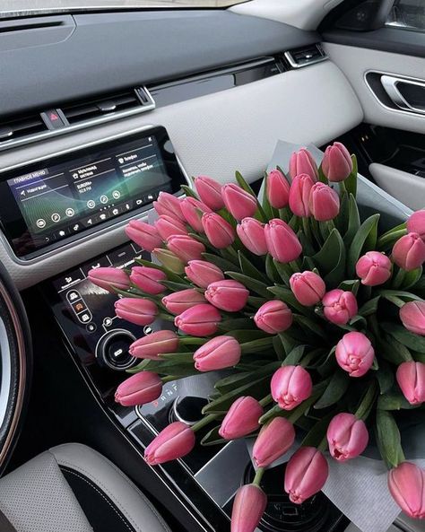 Pink, Floral, Instagram, Bloom, Beautiful Flowers, Saturday Morning, Love Flowers, Nothing But Flowers, Luxury Flowers