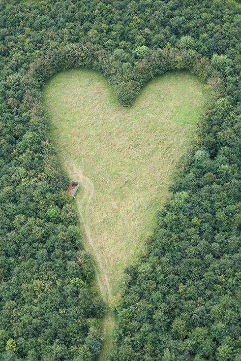 aheart-shaped meadow, created by a farmer as a tribute to his late wife, can be seen from the air near Wickwar, South Gloucestershire. the point of the heart points towards Wotton Hill, where his wife was born.