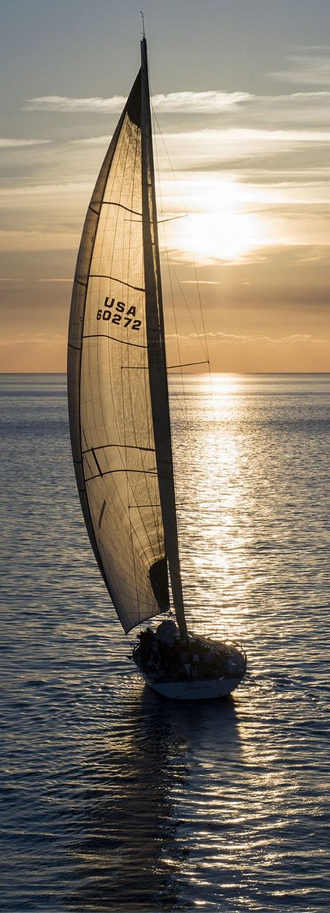 Wallpaper of Dreaming yacht Sailing. Sailing boat yacht wallpaper #wallpaper #sailing #boat #yacht #ocean #sea Sailboat, Rivers, Yachts, Yacht, Sailing Holidays, Sail Away, Seascape, Sunrise Sunset, Sailboats