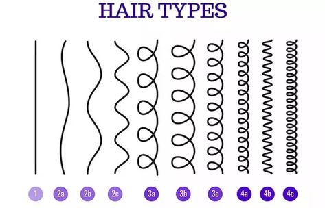 Types Of Curls, Hair Chart, Type 2b, Hair Type Chart, Different Hair Types, Hair Remedies, Natural Hair Types, Stop Hair Breakage, Hair Type