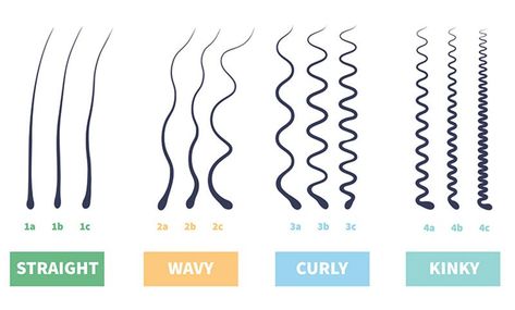Hair Types: Different Types of Hair & Hair Type Chart - The Trend Spotter Type 1a Hair, Hair Health, Hair Porosity, One Hair, Type 4 Hair, Hair Type, Hair Chart, Type 2b, Hair Type Chart