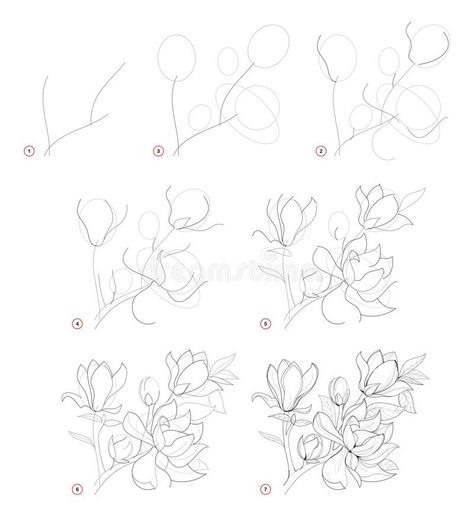 How to draw beautiful branch with magnolia flowers. Creation step by step pencil drawing. Educational page for artists. School textbook for developing artistic stock illustration Painting & Drawing, Pencil Drawings, Draw, How To Draw Steps, Drawing Tutorial, Art Tutorials, Learn To Draw, Easy Drawings, Flower Drawing Tutorials