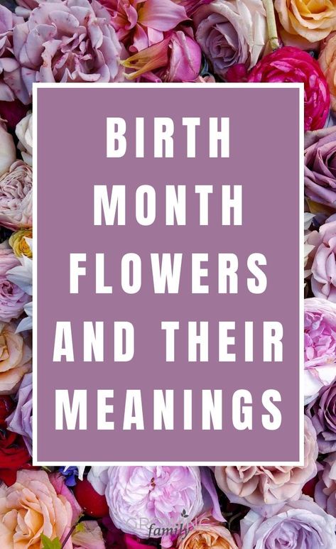 Every month has a birth flowereach with it's own special meaningThis guide lists the birth month flowers and their symbolism for each month of the yearA great way to make a flower gift more unusual and personalflowers birthflowers Tattoo, Ideas, Ink, Diy, Gardening, Birth Flower For August, August Birth Month Flower, September Birth Flower, June Birth Flower