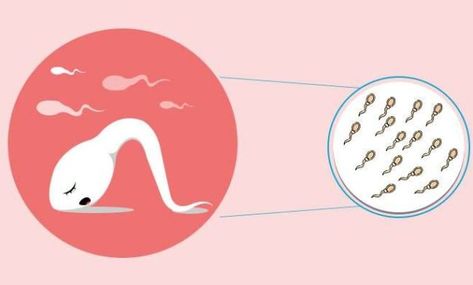 Low Sperm Count: If you are experiencing a Low Sperm Count, you may be wondering what the symptoms, causes, and home remedies are. This article will provide an informative overview… Sperm Count, Low Sperm Count, Hormone Imbalance, Enlarged Prostate, Ejaculate, Blood Pressure Chart, Remedies, Symptoms, How To Avoid Stress