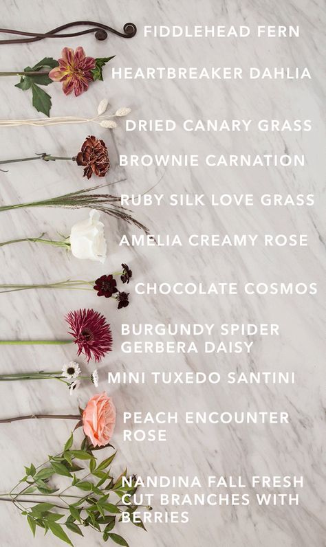 How To Create A Stunning, Interactive Fall Bouquet Bar With FiftyFlowers! Fall Flowers, Bloom, Fall Bouquets, Types Of Flowers, Pretty Flowers, Flowers Bouquet, Dried Flowers, Flower Names, Bouquet