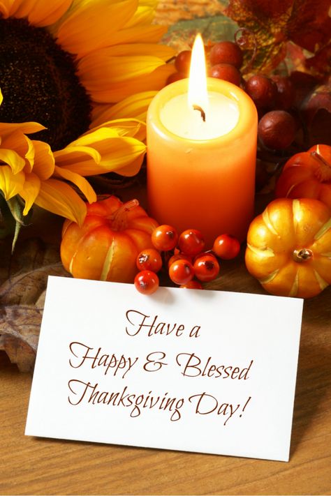 Happy Thanksgiving! Natal, Thanksgiving, Thanksgiving Blessings, Thanksgiving Quotes, Happy Thanksgiving Quotes, Thanksgiving Images, Happy Thanksgiving Images, Happy Thanksgiving Pictures, Thanksgiving Wishes