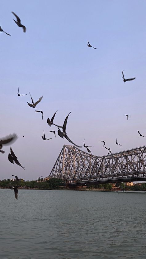 Howrah bridge
Howrah
Kolkata
Bridge Ideas, Healthcare Architecture, Nature, Instagram, Places, Kolkata, Art, North India, India Travel
