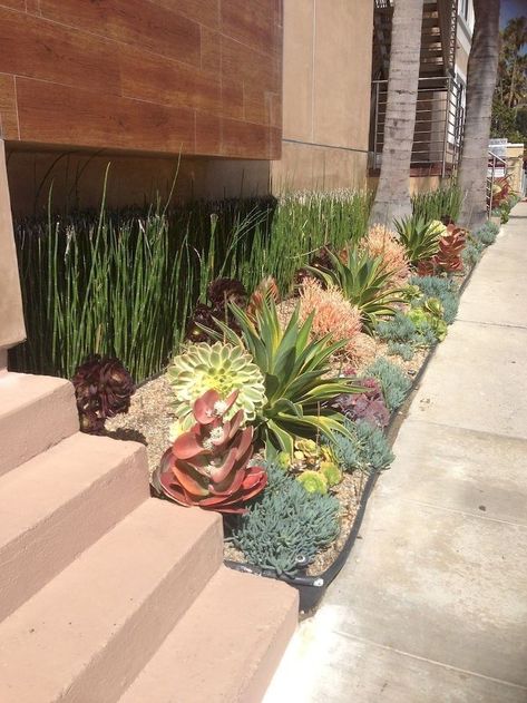 Gardening, Front Garden Landscaping, Outdoor Landscaping, Flower Bed With Rocks, Front Yard Landscaping, Outdoor Gardens, Succulent Garden Outdoor, Desert Landscaping, Succulent Landscaping