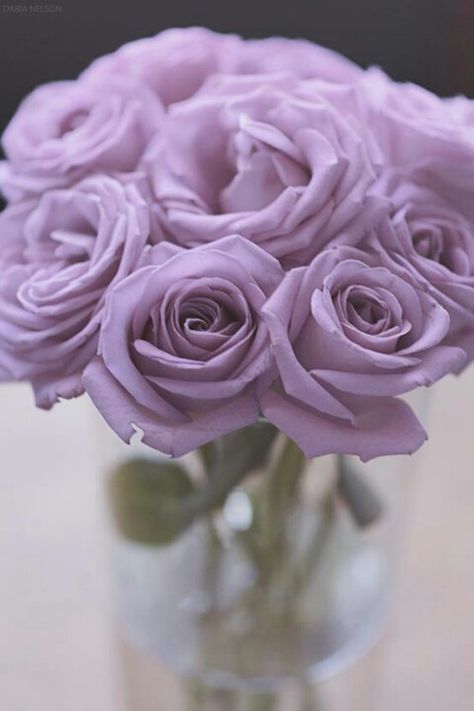 Lavender roses - my most romantic boyfriend once told me these are the most fragrant. Pastel, Floral, Lilla, Lilac, Flores, Rose, Lavender, Rosas, Bloemen